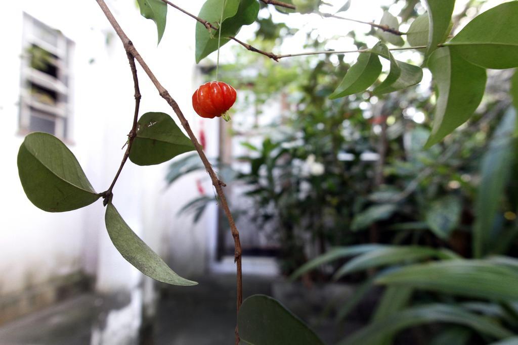 Casa Em Meio A Natureza - Ideal Para Casal Rio de Janeiro Luaran gambar